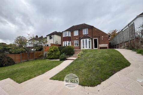 IMG_1056 (Large).jpg