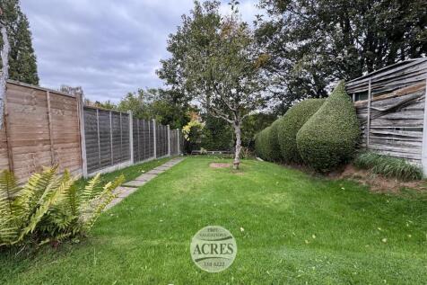 IMG_1597 (Large).jpg