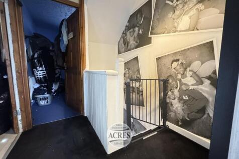 IMG_2723 (Large).jpg