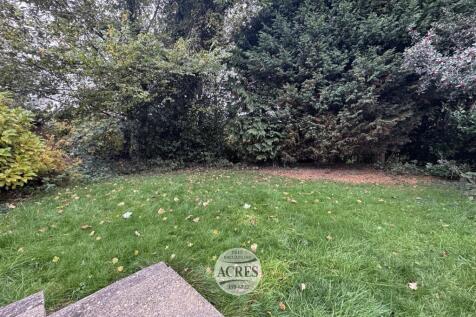 IMG_4484 (Large).jpg