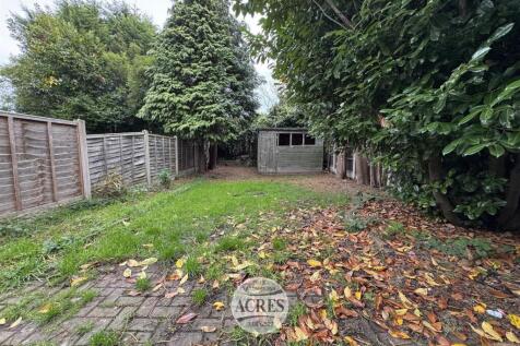 IMG_4820 (Large).jpg