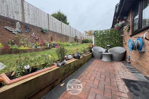 IMG_6037 (Large).jpg