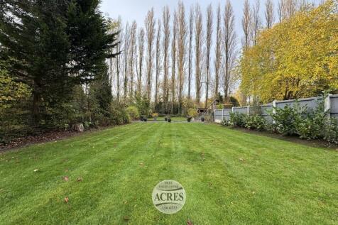 IMG_7238 (Large).jpg