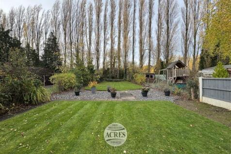 IMG_7241 (Large).jpg