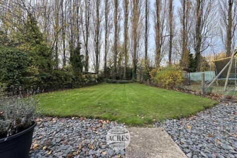 IMG_7243 (Large).jpg