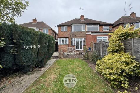 IMG_1557 (Large).jpg