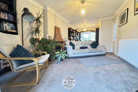 IMG_8393 (Large).jpg