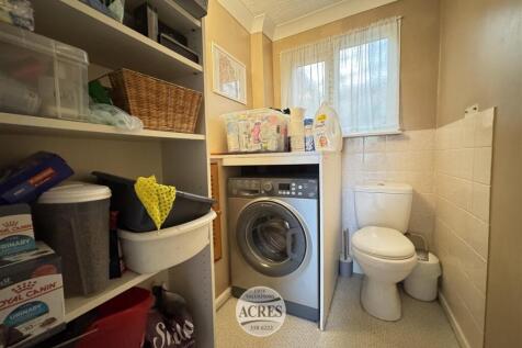 IMG_8556 (Large).jpg