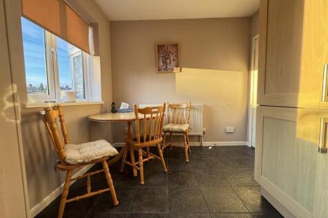 IMG_1041 (Large).JPG