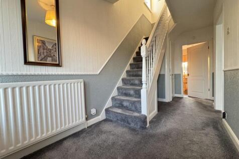 IMG_1091 (Large).JPG