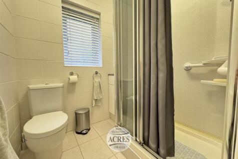 IMG_3558 (Large).jpg