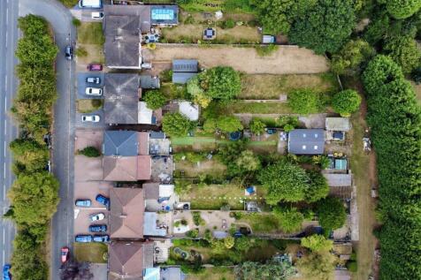 Birds Eye