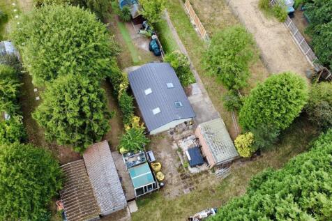 Birds Eye