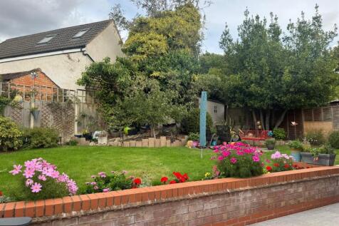 Garden (2).jpg