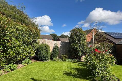 Garden (3).jpg
