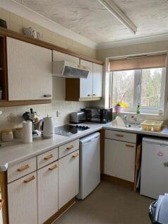 IMG-20250214-WA0003 (Large).jpg