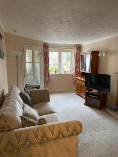 IMG-20250214-WA0005 (Large).jpg