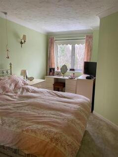 IMG-20250214-WA0011 (Large).jpg