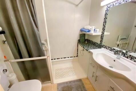 image6 (Large) (Large).jpg