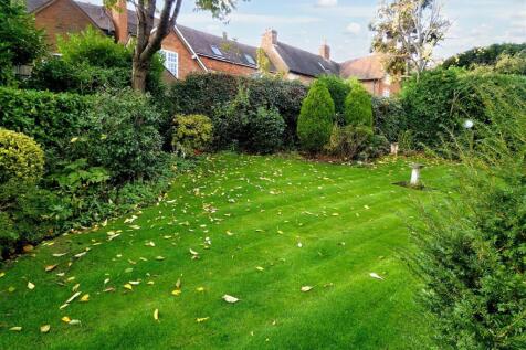 P1040563 (Large).jpg