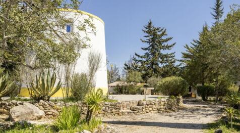 Property Image 37