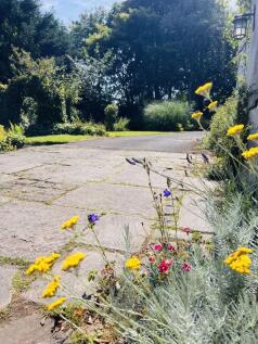 Photo 29