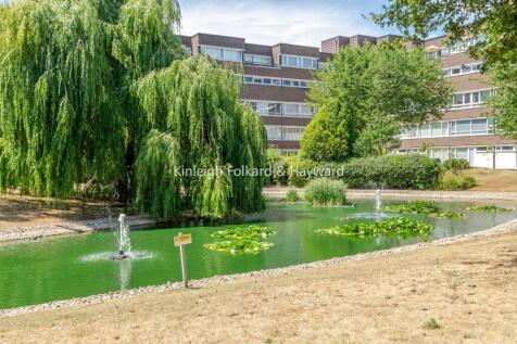 Pond
