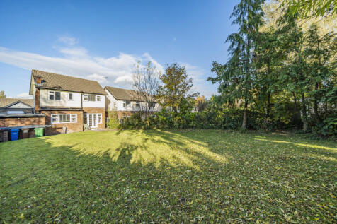Property Image 14