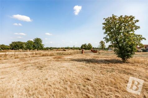 Field Views