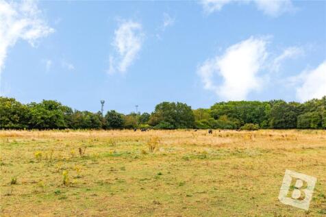 Field Views