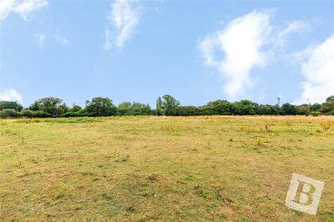 Field Views