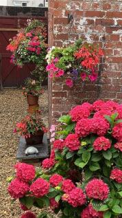 Garden-Test.jpg
