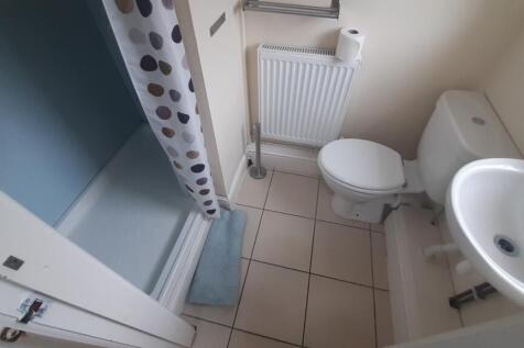 NO 17 80 Dog - Shower Room