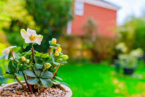 Award-winning Media team on EVERY Listing_7