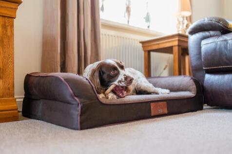 Call 02920 454555 to secure your viewing_12