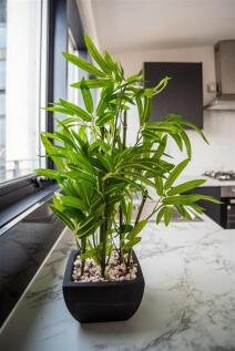 164DerbyRoad-74.jpg