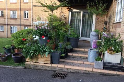 Property Image 13