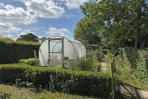 Kitchen Garden