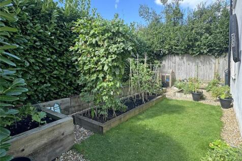 Vegetable Garden