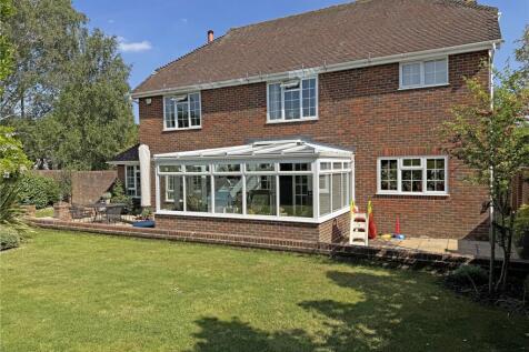 Rear Elevation