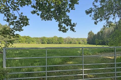 Gate To Paddock