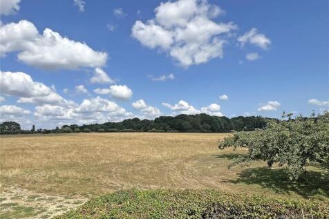 Land and View