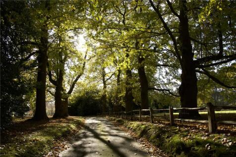Entrance Drive
