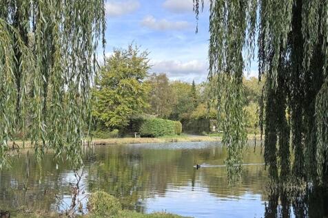 Pond