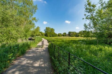 Meadow View