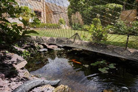 Pond