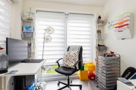 Study Area