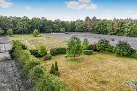 Black &amp; White Image