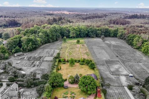 Black &amp; White Strip