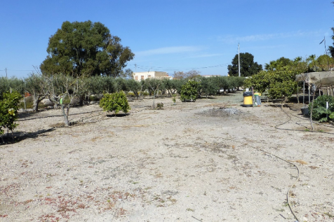 2 Bedroom Finca For Sale-MAZ05-8